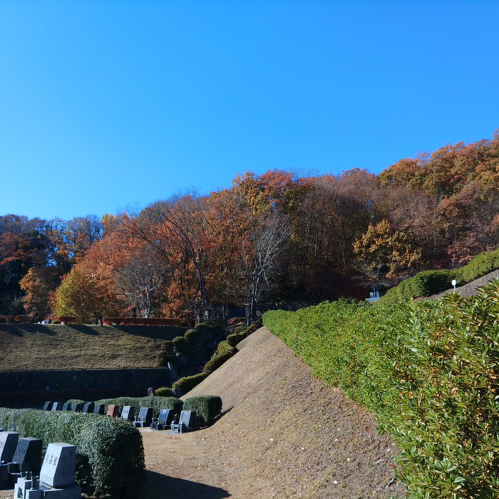 画像331