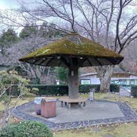 画像346