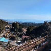画像352
