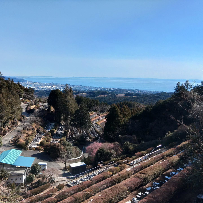 画像352